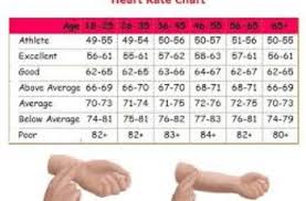 Average Female Pulse Rate Heart Rate Zones