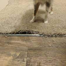 gold coast carpet tile care updated