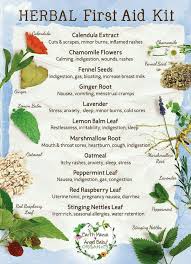 Herbal First Aid Chart Herbalism Healing Herbs Natural