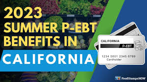 2023 summer p ebt in california