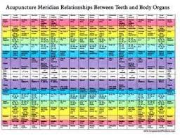 Tooth Meridian Chart At Duckduckgo Tooth Chart Holistic