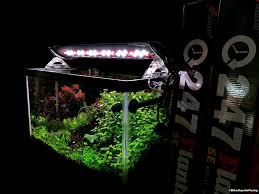 24 7 Crv Aquarium Led Light Finnex Planted Aquarium Lights