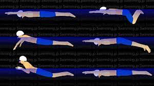 平泳ぎ 泳ぎ方のコツ（キックとプルのタイミング） - Swimming.jpSwimming.jp