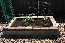 cinder block raised bed