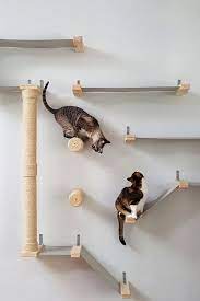 Cat Trees And Climbers To Make Your Pet