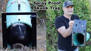 try not to get spra by a skunk