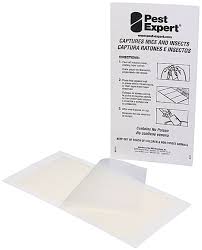 pest expert mouse glue traps 24 pack