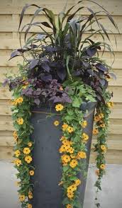Planting Big And Or Tall Containers