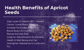 health benefits of apricot seeds or