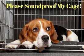 how to soundproof a dog crate or kennel