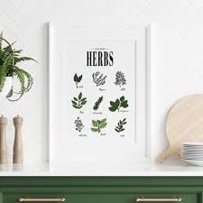 Kitchen Herb Print Poster Cooking Guide