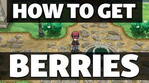 HOW TO GET Cheri, Chesto, Pecha and Rawst Berry in Pokemon XY - YouTube