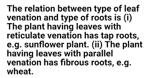 leaf venation and types of root are