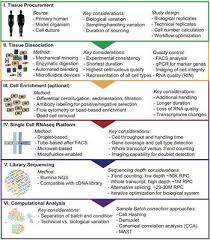 Frontiers Experimental Considerations For Single Cell Rna