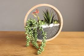 diy round hanging succulent planter