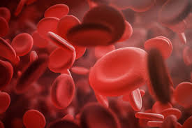 blood have in common with vitamin b12