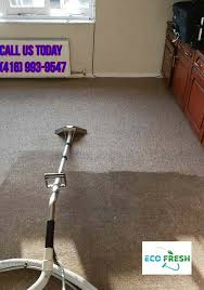 eco fresh carpet cleaning reviews