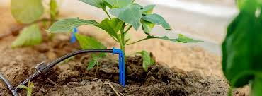 Drip Irrigation Full Guide Function