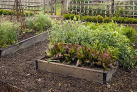 small vegetable garden design ideas