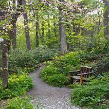 framingham s garden in woods re opens