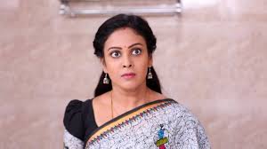 Chandini Tamilarasan - Celebrity Style in Rettai Roja Episode 373, 2021 from Episode 373. | Charmboard