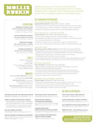    Great Examples Of Creative CV Resume Design   Web   Graphic    