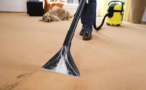 carpet cleaning specialists carpet