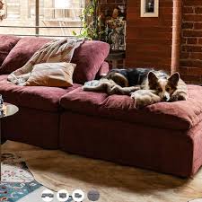 5 Best Couches For People With Cats
