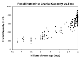 Fun With Hominin Cranial Capacity Datasets And Excel