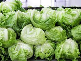 is iceberg lettuce good for you here s