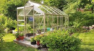 Greenhouses Pros Cons Garden Weasel