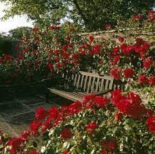 Roses Garden Garden Seating