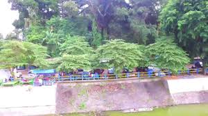 Gunung rowo bergoyang indahnya waduk gunung rowo tlogowungu pati setelah new viral video bocil di gunung rowo bergo. Wisata Di Waduk Gunung Rowo Pati Youtube