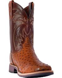 Dan Post Mens Philsgood Brown Full Quill Ostrich Cowboy Boots Square Toe