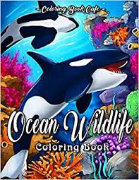 Download inflatables video clips with nothing to join! Amazon Com Ocean Wildlife Coloring Book An Adult Coloring Book Featuring Beautiful Sea Animals Tropical Fish Coral Reefs And Ocean Wildlife For Stress Relief And Relaxation 9798715801609 Cafe Coloring Book Books