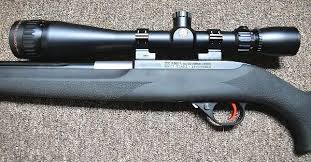 the best ruger 10 22 scope options and
