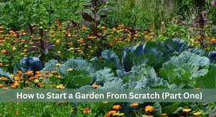 Garden From Scratch Part