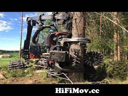 World's Modern Long Reach Excavator Machine Working - Heavy Equipment  Cutting Big Tree Machine from tree video Watch Video - HiFiMov.cc