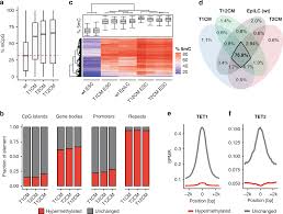 pive dna demethylation in mammals