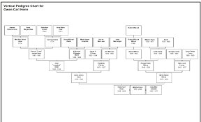 Climbing My Family Tree Paternal Ancestor Charts To