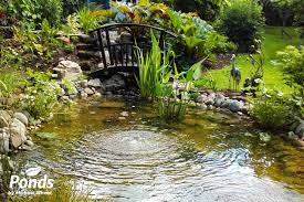 Modern Garden Pond Vs Traditional