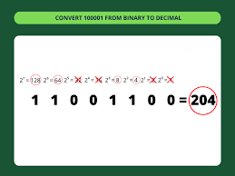 binary to decimal converter