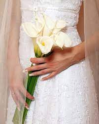 We did not find results for: 19 Calla Lily Wedding Bouquet Examples Calla Lily Bouquet Wedding Calla Lily Bridal Bouquet Lily Wedding