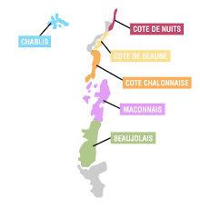 Your Guide To Burgundy Vintages How To Choose The Most