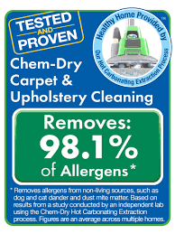 carpet cleaning the natural way