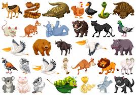 Animals Vectors Photos And Psd Files Free Download