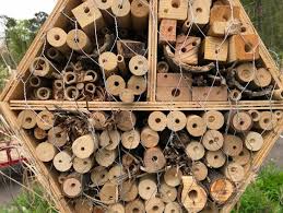 The following diy bee houses are easy to make and tailored to most solitary bee species. Be Bee Friendly Build A Bee House And Create A Habitat In The Garden Diy