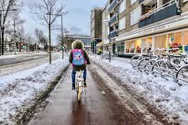 dutch do winter bike lane maintenance