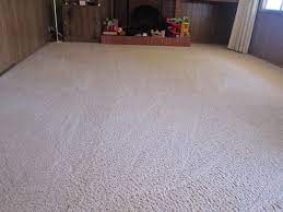 best steam cleaning services for carpet