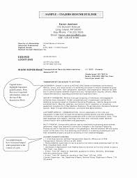 Usa Resume Example Big Cover Letter University Admission Template